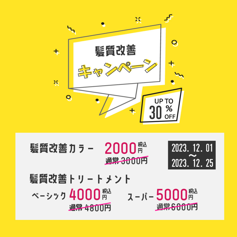 キャンペーン│ オーダーメイド式髪質改善