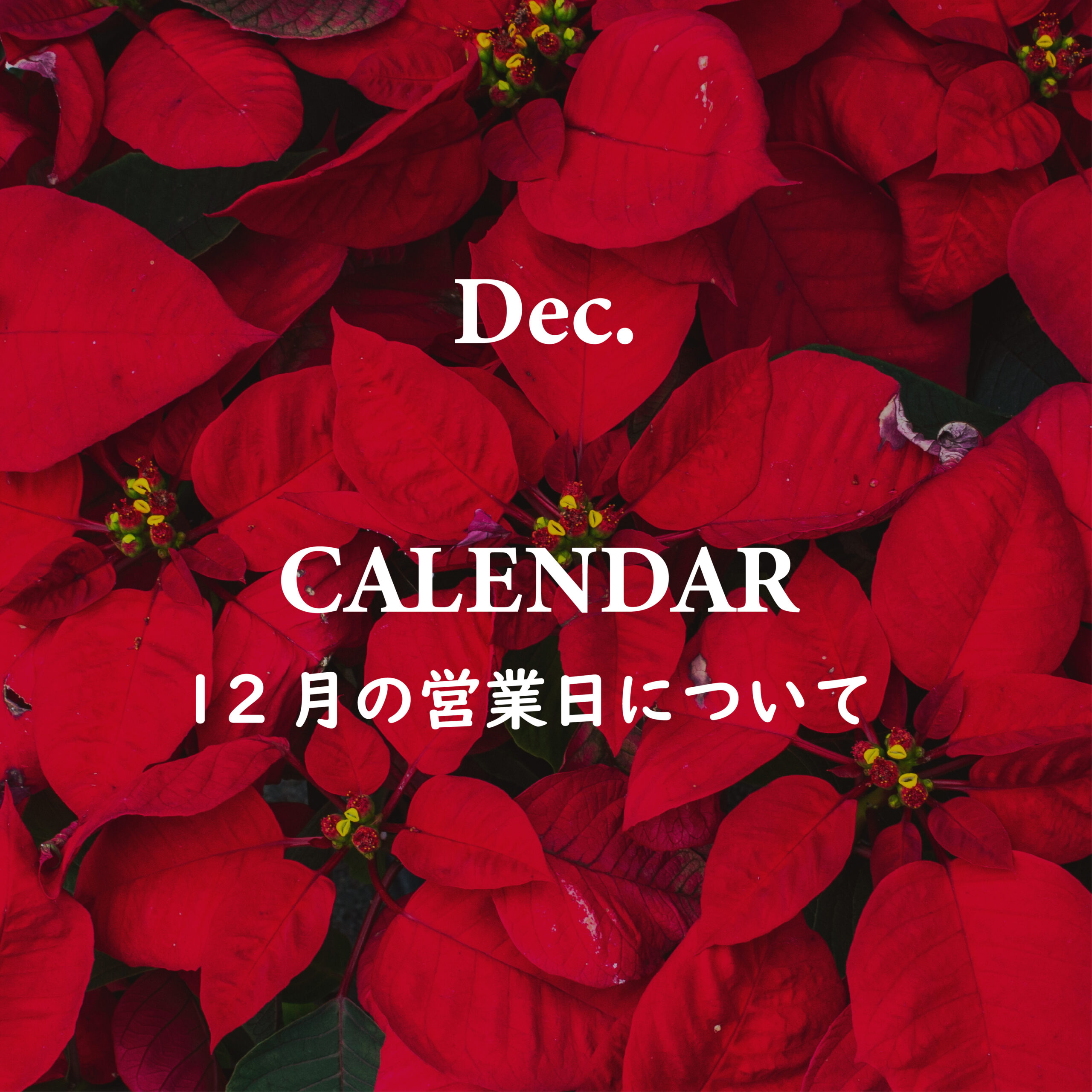 12月の営業について